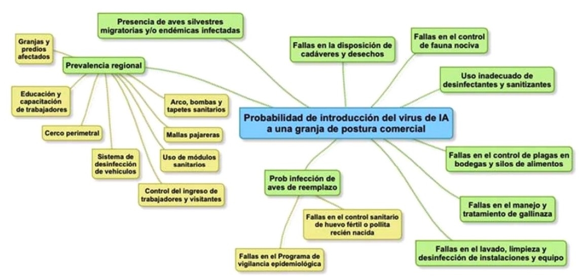 Uso del análisis de riesgo en la evaluación de la bioseguridad avícola - Image 1