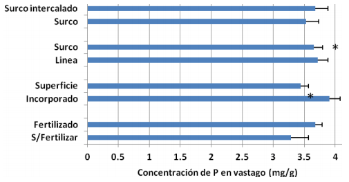 Localizacion del fertilizante fosforado en el cultivo de soja: efectos sobre la nutricion y el crecimiento - Image 5