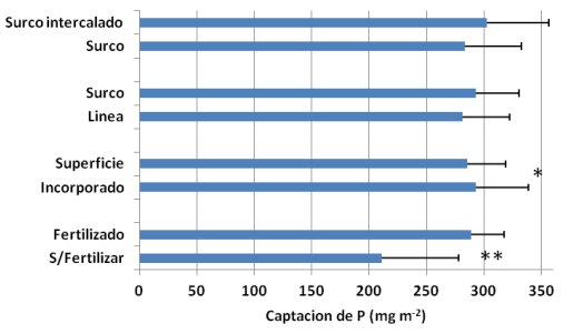 Localizacion del fertilizante fosforado en el cultivo de soja: efectos sobre la nutricion y el crecimiento - Image 6