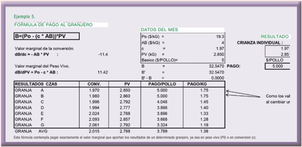 Medición de la productividad en lotes de parrilleros - Image 9