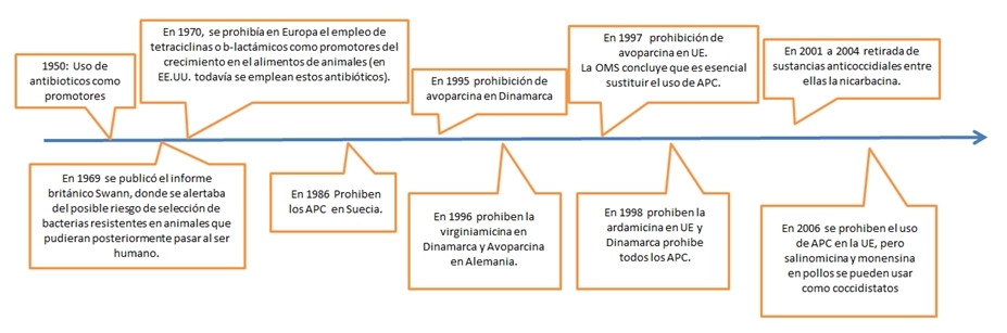 Producción de pollos de engorde sin antibióticos promotores de crecimiento (APC) - Image 1