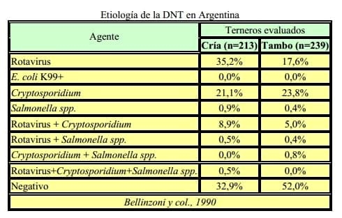 Diarrea Neonatal de los Terneros: Etiopatogenia, tratamiento y control - Image 1