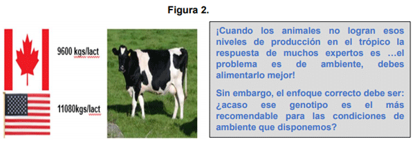 El Rol de la Genética y Selección como Herramientas para Incrementar la Producción de Leche en Países de América Latina - Image 3