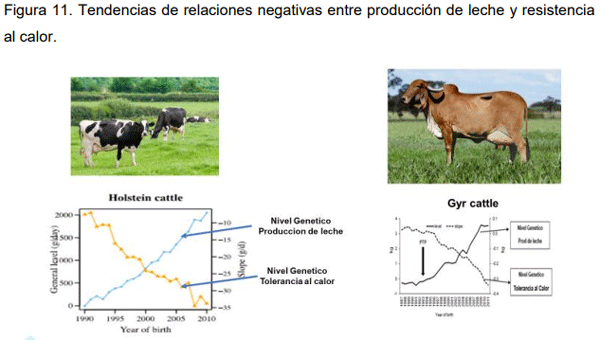 El Rol de la Genética y Selección como Herramientas para Incrementar la Producción de Leche en Países de América Latina - Image 12