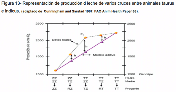 El Rol de la Genética y Selección como Herramientas para Incrementar la Producción de Leche en Países de América Latina - Image 14