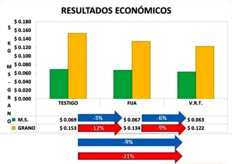Fertilización variable de maíz para grano – BDN 50h - 2015/2016 - Image 31