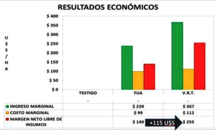 Fertilización variable de maíz para grano – BDN 50h - 2015/2016 - Image 29