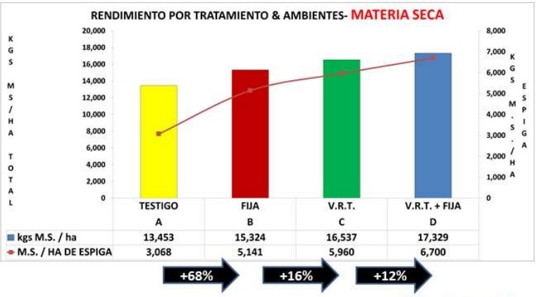 Fertilización variable de maíz para grano – BDN 50h - 2015/2016 - Image 18