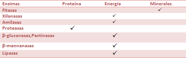 Las enzimas exógenas en las dietas Maíz/Sorgo-Harina de soya para aves y cerdos. - Image 13
