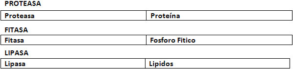 Las enzimas exógenas en las dietas Maíz/Sorgo-Harina de soya para aves y cerdos. - Image 10