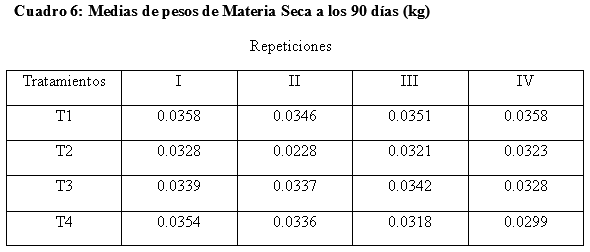 Evaluación de la producción forrajera de Gramíneas del Género Panicum en tres frecuencias de corte en el distrito de Minga Guazú, Alto Paraná-Paraguay - Image 12
