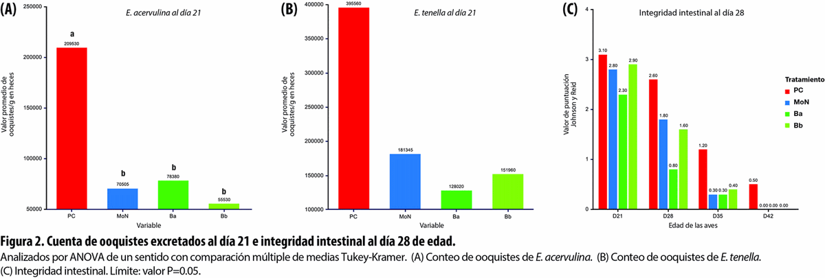 Efecto de la inclusión de una mezcla fitogénica contenida en Bioadd® en el rendimiento de pollos de engorde con coccidiosis - Image 2