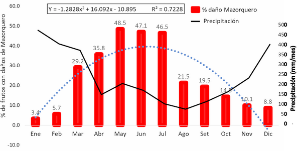 Estado fitosanitario en la producción de cacao (theobroma cacao l.) en la región de Huánuco (Perú): incremento del impacto de carmenta foraseminis eichlin - Image 3
