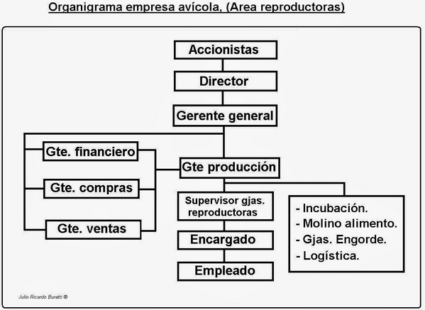 Manejo de reproductoras pesadas enfocado en las personas. - Image 2