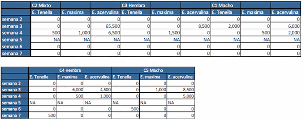 Evaluación de la protección conferida por inmunoglobulinas en una parvada de pollo de engorda para el control de la coccidiosis aviar - Image 2
