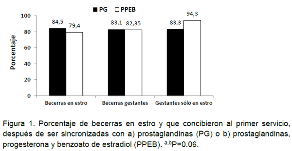 Sincronización de estros, en vaquillas del sistema familiar de producción de leche - Image 2