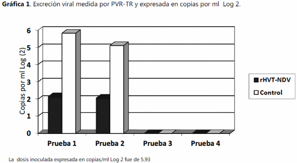 Evaluacion de una vacuna vectorizada contra la enfermedad de Newcastle como parte de un programa de prevencion - Image 3
