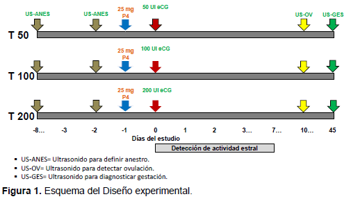 Evaluación de la dosis de ecg en cabras pretratadas con progesterona intramuscular para inducir la actividad reproductiva durante el anestro estacional - Image 1