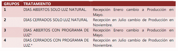 Comparación de parámetros productivos en gallinas de postura utilizando un programa de luz artificial en crianza contra luz natural - Image 1