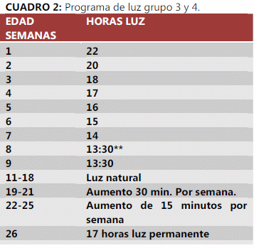 Comparación de parámetros productivos en gallinas de postura utilizando un programa de luz artificial en crianza contra luz natural - Image 2