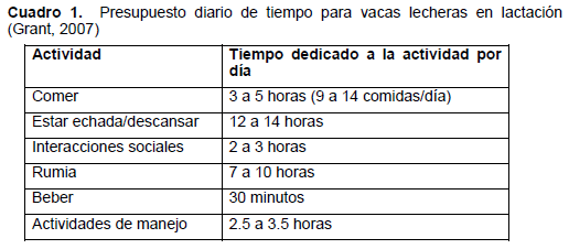 Bienestar Lechero: Utilizar el Bienestar Animal para Mejorar el Desempeño - Image 1