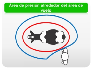 ¿Estamos dando el confort adecuado? - Image 3