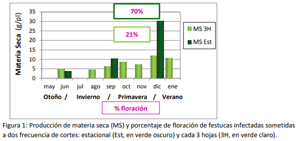 Efecto del manejo sobre la concentración de ergoalcaloide en festuca toxica - Image 1