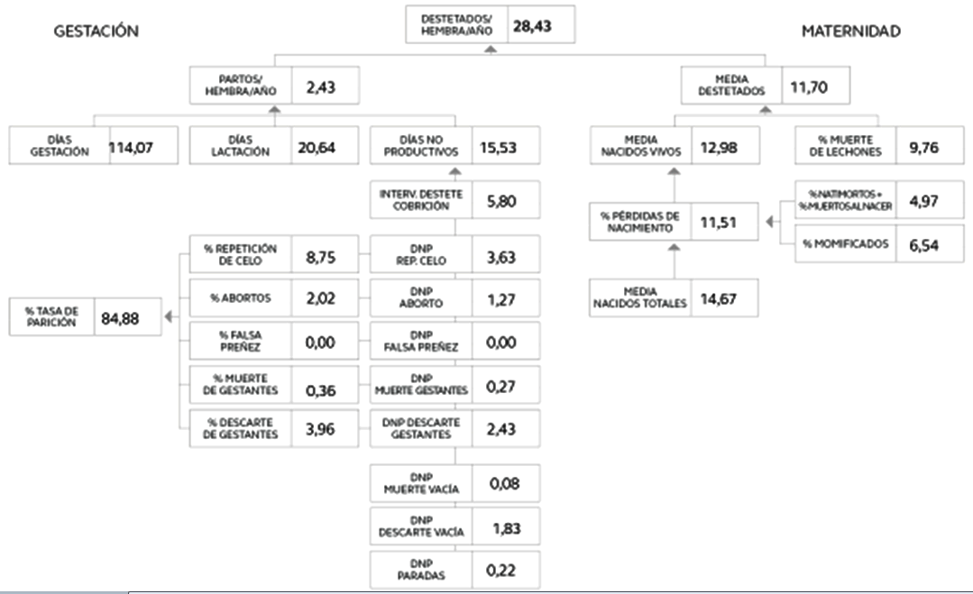 Información: nuestra principal aliada en la mejora de productividad - Image 2
