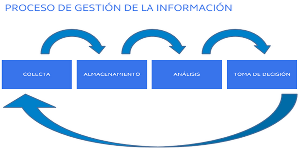 Información: nuestra principal aliada en la mejora de productividad - Image 4