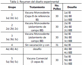 Evaluación de la protección cruzada entre 3 cepas del serovar b de avibacterium paragallinarum. - Image 1