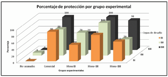 Evaluación de la protección cruzada entre 3 cepas del serovar b de avibacterium paragallinarum. - Image 4