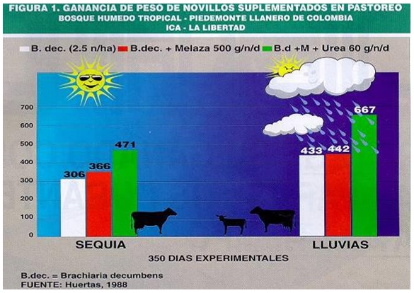 Cómo eliminar riesgos de intoxicación en rumiantes suplementados con urea líquida - Image 5