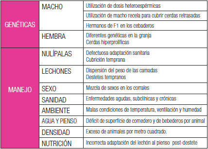 Aumento de homogeneidad en la fase de transición - Image 2