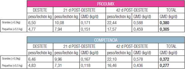 Aumento de homogeneidad en la fase de transición - Image 7
