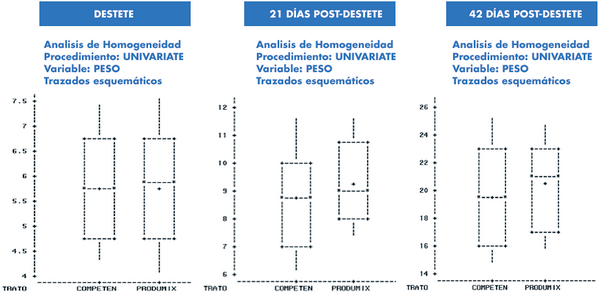 Aumento de homogeneidad en la fase de transición - Image 8