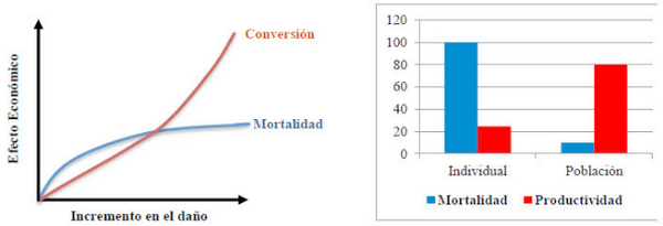 Estrategias de manejo para una adecuada finalización de los cerdos - Image 4