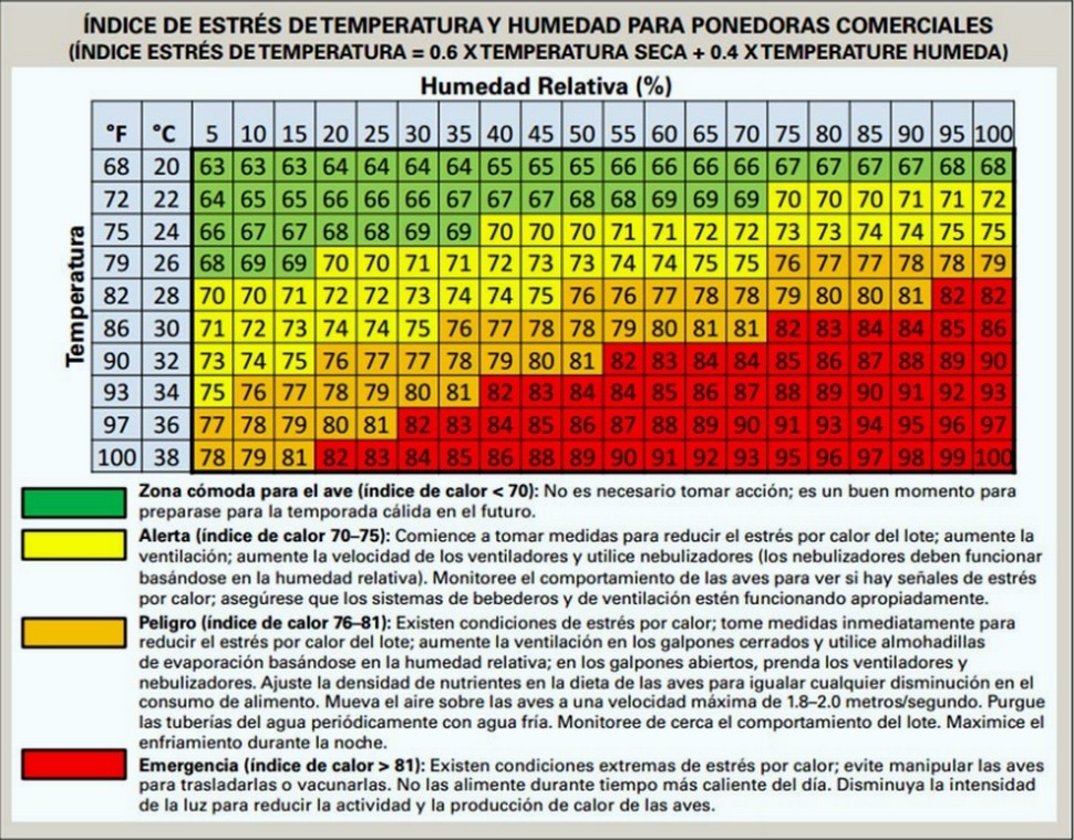 Beneficios del uso de aminoácidos levógiros en la productividad avícola, en situaciones de estrés calórico - Image 2