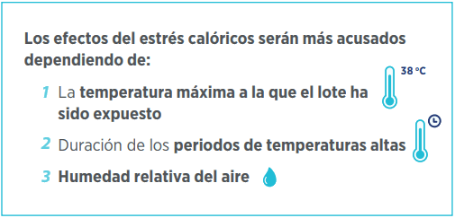 Beneficios del uso de aminoácidos levógiros en la productividad avícola, en situaciones de estrés calórico - Image 4