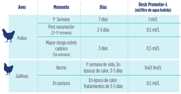 Beneficios del uso de aminoácidos levógiros en la productividad avícola, en situaciones de estrés calórico - Image 6