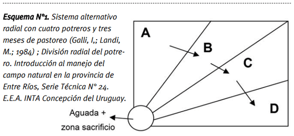 Pautas técnicas para la correcta instalación y uso de los alambrados eléctricos - Image 2