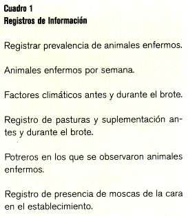 Queratoconjuntivitis Infecciosa Bovina (QIB) - Image 1
