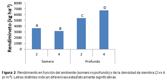 Efecto del macollaje de maíz en diferentes ambientes y densidades - Image 3