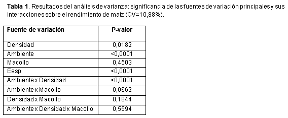 Efecto del macollaje de maíz en diferentes ambientes y densidades - Image 2