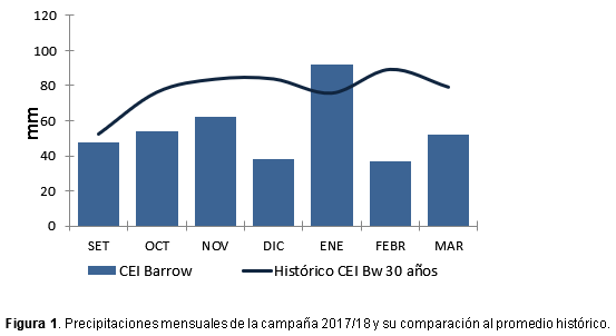 Efecto del macollaje de maíz en diferentes ambientes y densidades - Image 1
