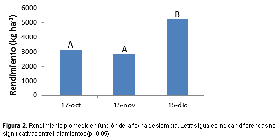Plasticidad de maíz según fecha de siembra y genotipo - Image 3
