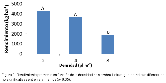 Plasticidad de maíz según fecha de siembra y genotipo - Image 4