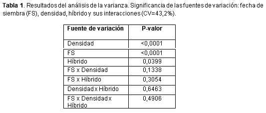 Plasticidad de maíz según fecha de siembra y genotipo - Image 2