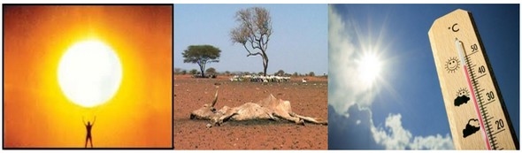 Cambio climático: Avance inexorable hacia una tragedia mundial - Image 3