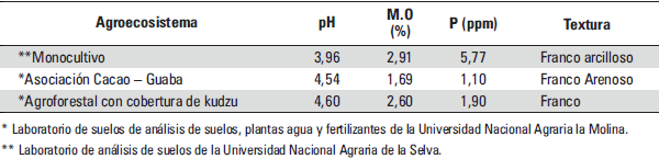 Hongos de micorriza arbuscular en tres agroecosistemas de cacao (theobroma cacao l.) en la Amazonía Peruana - Image 2