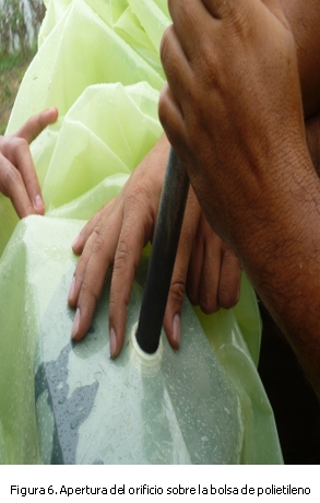 Instalación y operación de una válvula para salida de lodos en biodigestores plásticos - Image 6